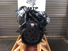 2004 INTERNATIONAL VT365 Engine