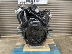 2005 INTERNATIONAL VT365 Engine