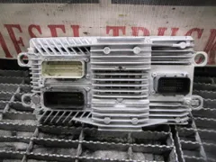 INTERNATIONAL MAXXFORCE DT Computer / Electronic Control (ecm)